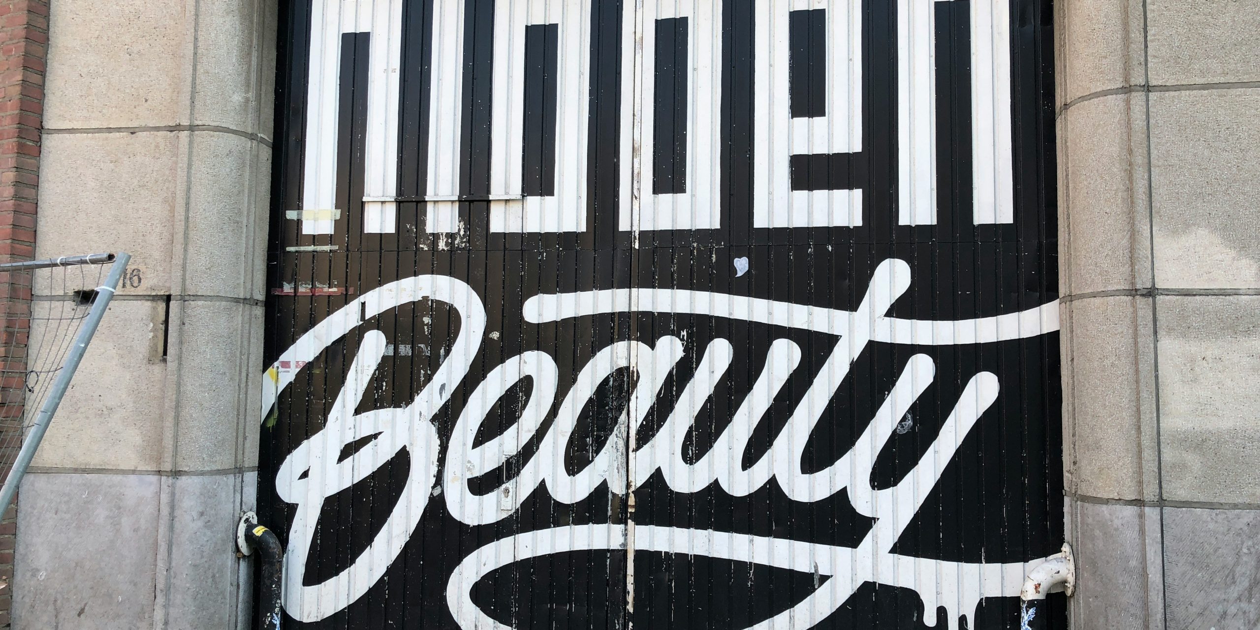 carine-l-Dq8tE0108SQ-unsplash